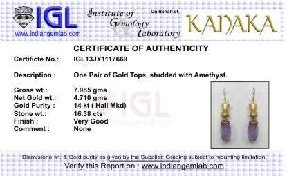 Gold Earrings with Amethyst - Jewelslane